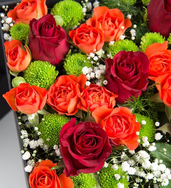 Floransa